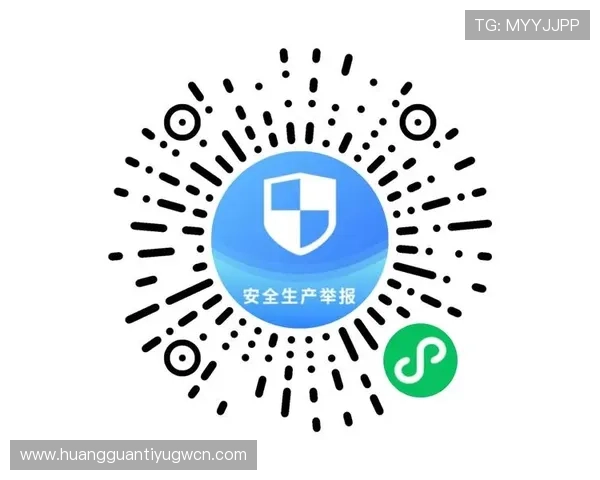 皇冠官方最新域名正式启用，确保网站安全升级与访问便捷