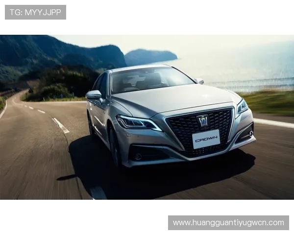 皇冠进口产品的多元化发展策略，满足不同消费者的个性化需求