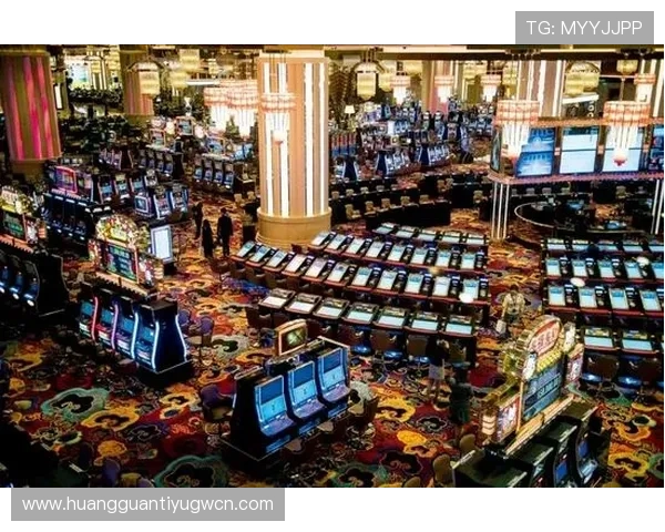 澳门新濠官网精彩纷呈的娱乐场所环境与优质服务全方位呈现